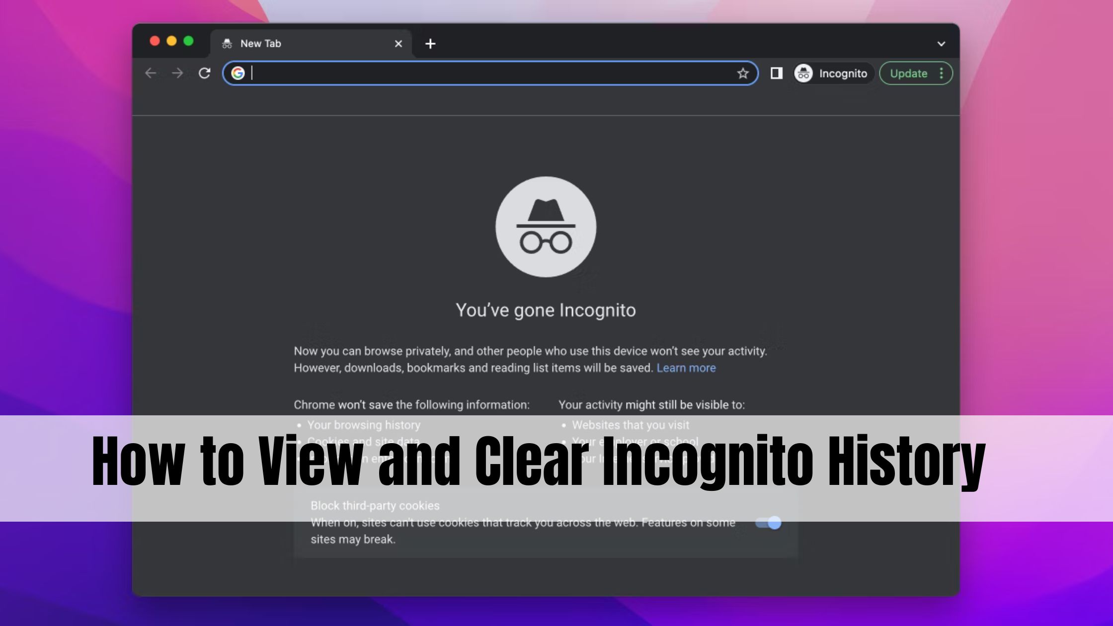 how-to-view-and-clear-incognito-history-exceleur