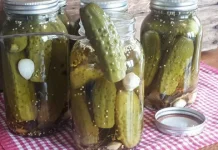 Why Homemade Pickles Still Matter in a World of Fast Food